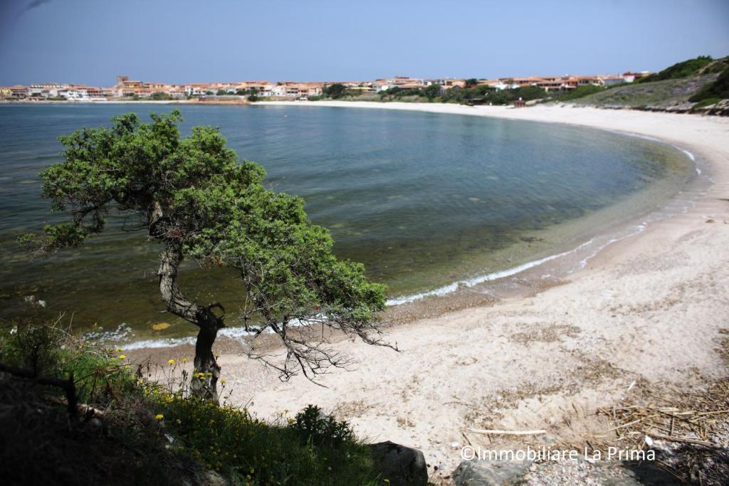 Appartamenti Ideal Isola Rossa Extérieur photo